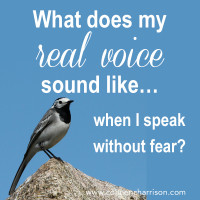 My Voice Without Fear