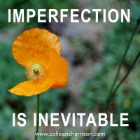 Imperfection is Inevitable